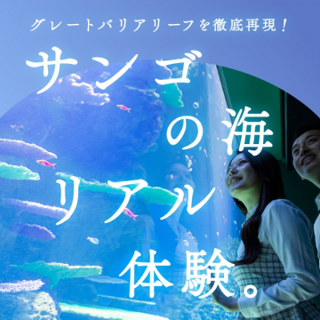 グレートバリアリーフ再現！サンゴの海リアル体験展示
