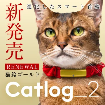 進化したスマート首輪「Catlog\\_2 猫鈴ゴールド」