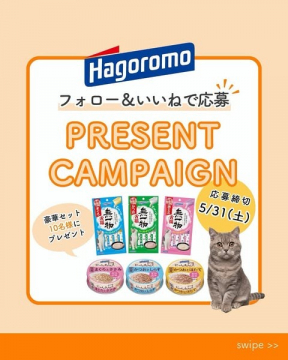 Hagoromo 無一物シリーズ＆にゃんぱく宣言 プレゼントキャンペーン
