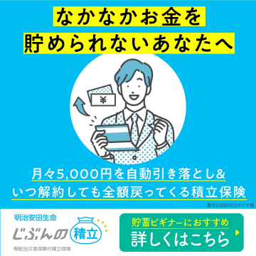 じぶんの積立（月5,000円自動積立保険）