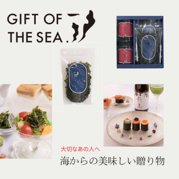 海藻ギフトセット「GIFT OF THE SEA」