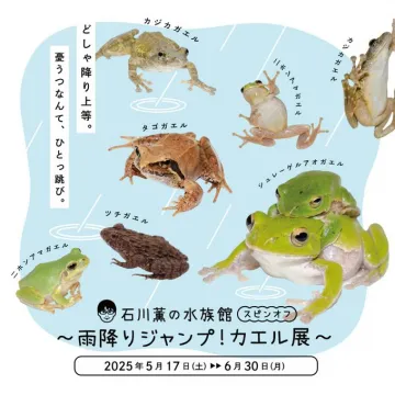 石川薫の水族館 スピンオフ 〜雨降りジャンプ！カエル展〜