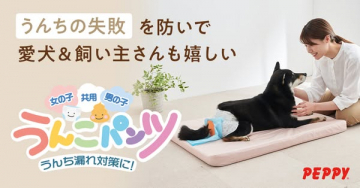 愛犬用うんち漏れ防止パンツ