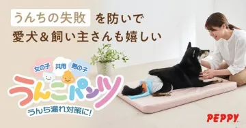 愛犬用うんち漏れ防止パンツ