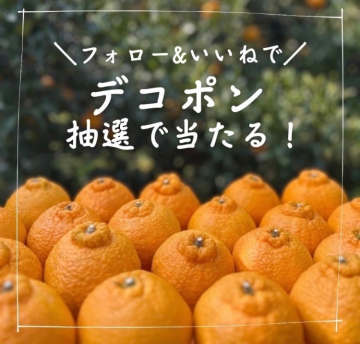 フォロー＆いいねで当たるデコポンプレゼントキャンペーン