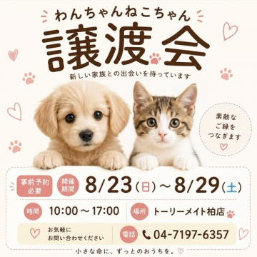犬猫譲渡会（新しい家族探しイベント）