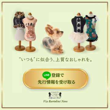 高級犬服コレクション先行案内