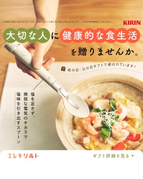 エレキソルト　電気で塩味を引き出すギフトスプーン