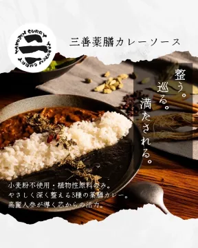 高麗人参と植物性原料の三善薬膳カレーソース