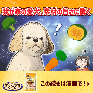 グラン・デリ フレシャス ドッグフード