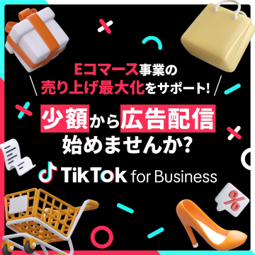 TikTok for Business 少額から始める広告配信支援サービス