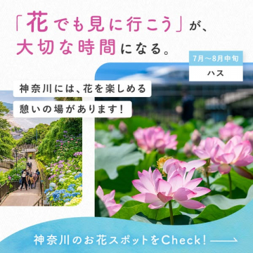 神奈川の花めぐりスポット案内