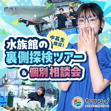 中高生向け 水族館裏側ツアー＆個別相談会