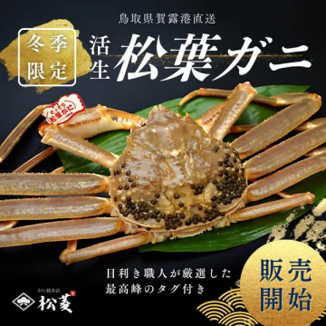 冬季限定・産地直送 松葉ガニ通販
