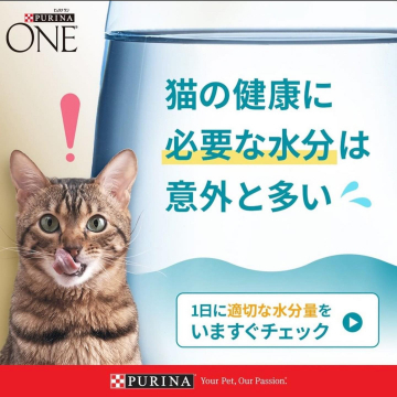 PURINA ONE 猫の健康維持のための水分量チェック啓蒙