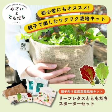 親子で楽しむリーフレタス栽培キット