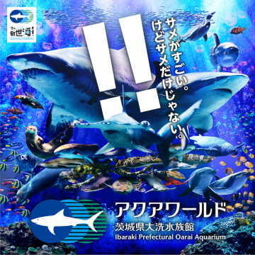 アクアワールド茨城県大洗水族館：海の多様な生き物たち