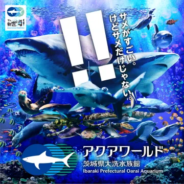 アクアワールド茨城県大洗水族館：海の多様な生き物たち