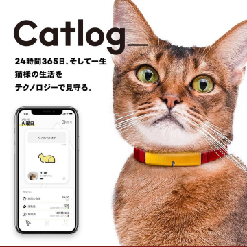 Catlog 猫様見守りテクノロジーサービス