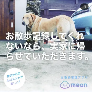 犬のお散歩を楽しく記録・管理するアプリ「mean」