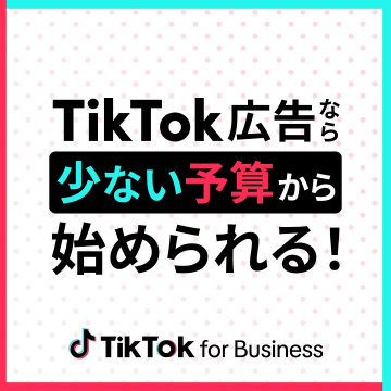 TikTok広告 低予算で始める広告運用サービス