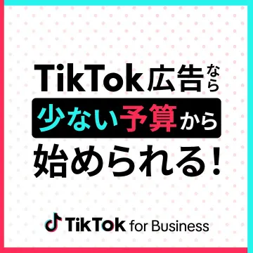 TikTok広告 低予算で始める広告運用サービス