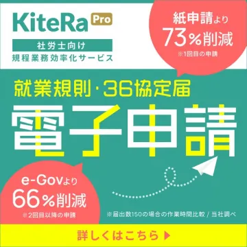 KiteRa Pro：社労士向け電子申請サービス