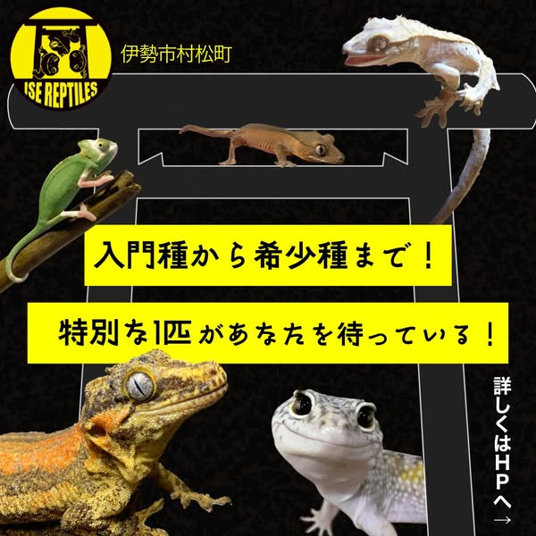 伊勢の爬虫類専門店・販売イベントのバナー