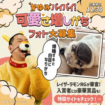 かゆみバイバイ！可愛さ増しがちフォト大募集