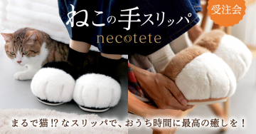 猫の手スリッパ受注会！おうち時間に癒しを