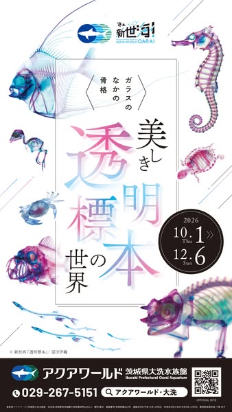 透明標本の美と科学 展示イベントのバナー
