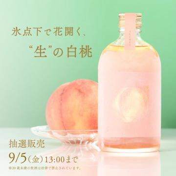 氷点下で花開く“生”の白桃 翠水 抽選販売