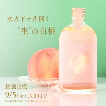 氷点下で花開く“生”の白桃 翠水 抽選販売
