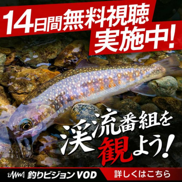 釣りビジョンVODによる渓流番組14日間無料視聴キャンペーン