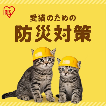 愛猫のための防災対策の啓発