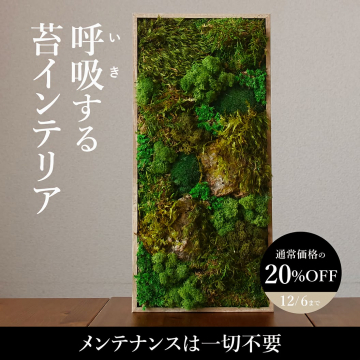 手入れ不要な癒しの呼吸する苔インテリア