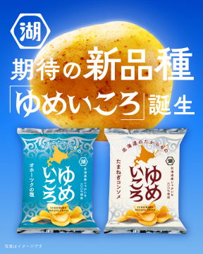 湖池屋ポテトチップス新品種「ゆめいろ」の誕生