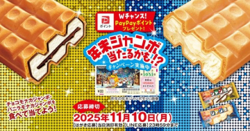 商品購入で年末ジャンボ宝くじとPayPayポイントが当たるWチャンスキャンペーン