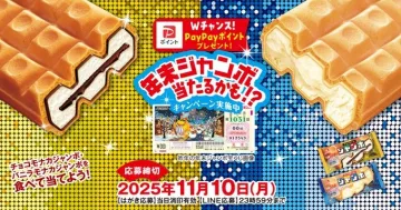 商品購入で年末ジャンボ宝くじとPayPayポイントが当たるWチャンスキャンペーン