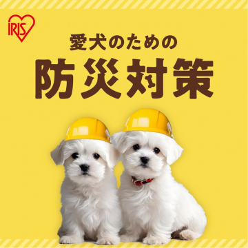 愛犬のための防災対策