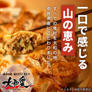 一口で感じる山の恵み 奈良県産こだわり餃子