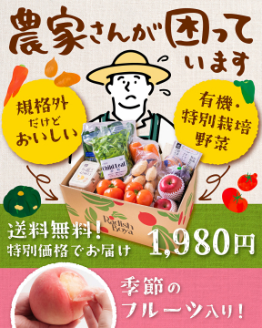 農家さん応援！規格外＆有機野菜と旬フルーツ特別セット