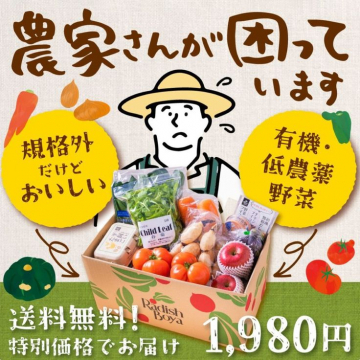 規格外だけどおいしい有機・低農薬野菜セット