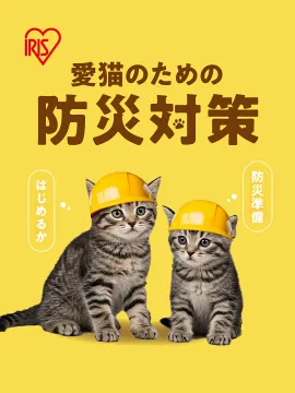 愛猫のための防災対策を促すバナー
