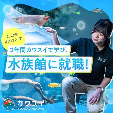 カワスイ アクア＆アニマルスクール 水族館就職プログラム