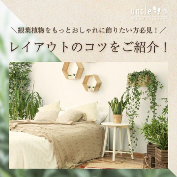 観葉植物をおしゃれに飾るためのレイアウトコツ紹介 by uncle b