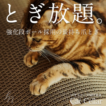 強化段ボール採用の長持ち猫用爪とぎ Cat Cellar
