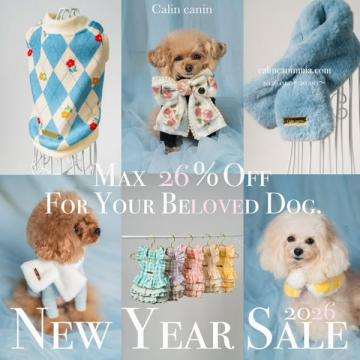 Calin canin 愛犬のための新年セール