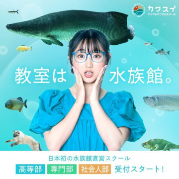 教室は水族館。日本初の水族館直営スクール