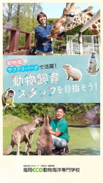 動物園・サファリパークの動物飼育スタッフを目指す専門学校
